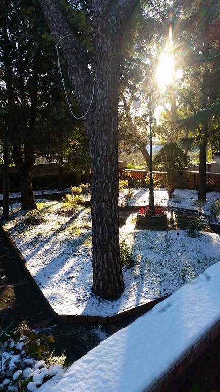 Villa Morgante B&B Pedara Buitenkant foto