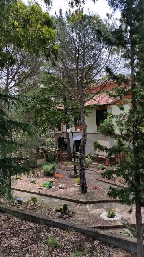 Villa Morgante B&B Pedara Buitenkant foto