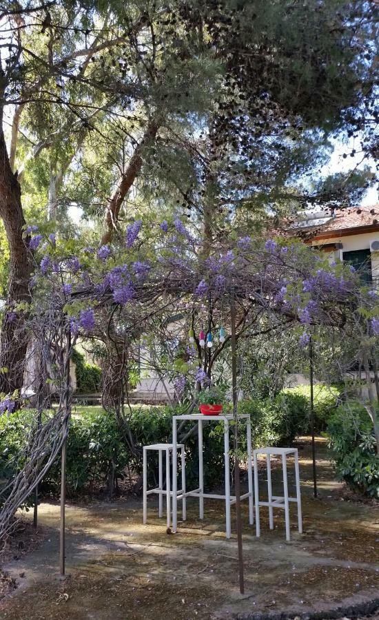 Villa Morgante B&B Pedara Buitenkant foto